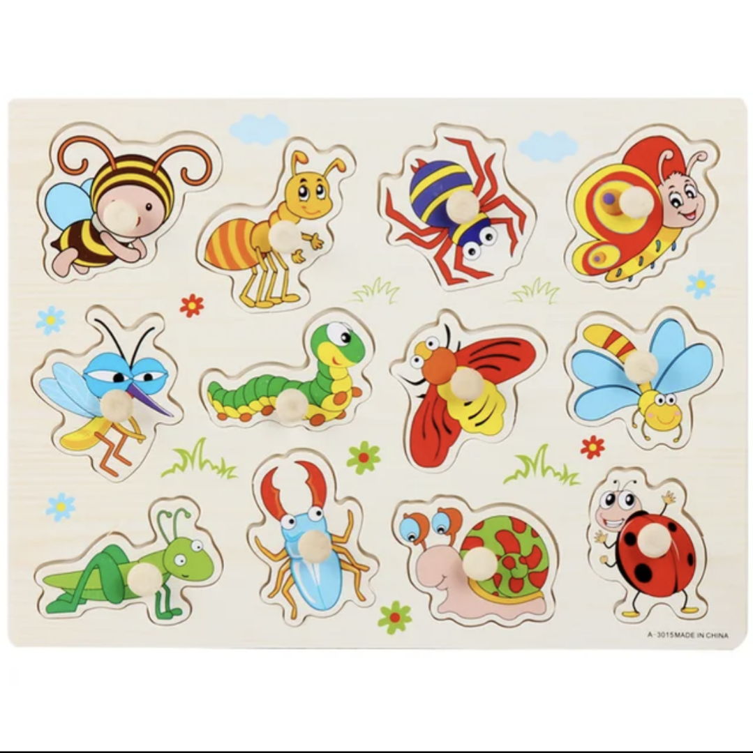 Montessori Wooden Puzzle