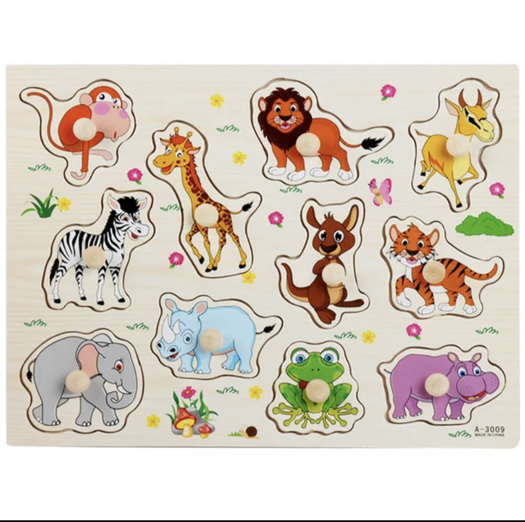 Montessori Wooden Puzzle