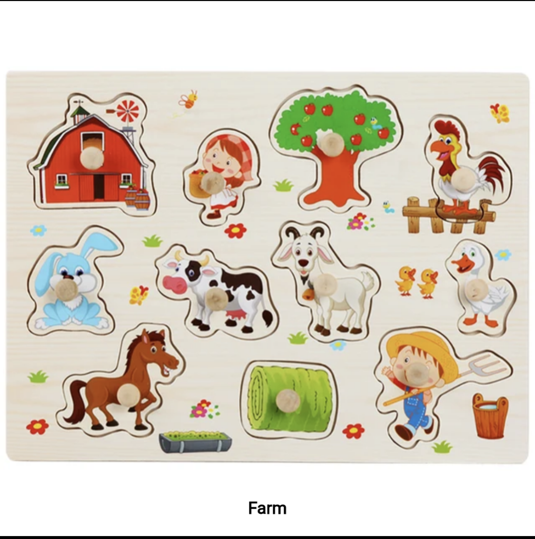Montessori Wooden Puzzle
