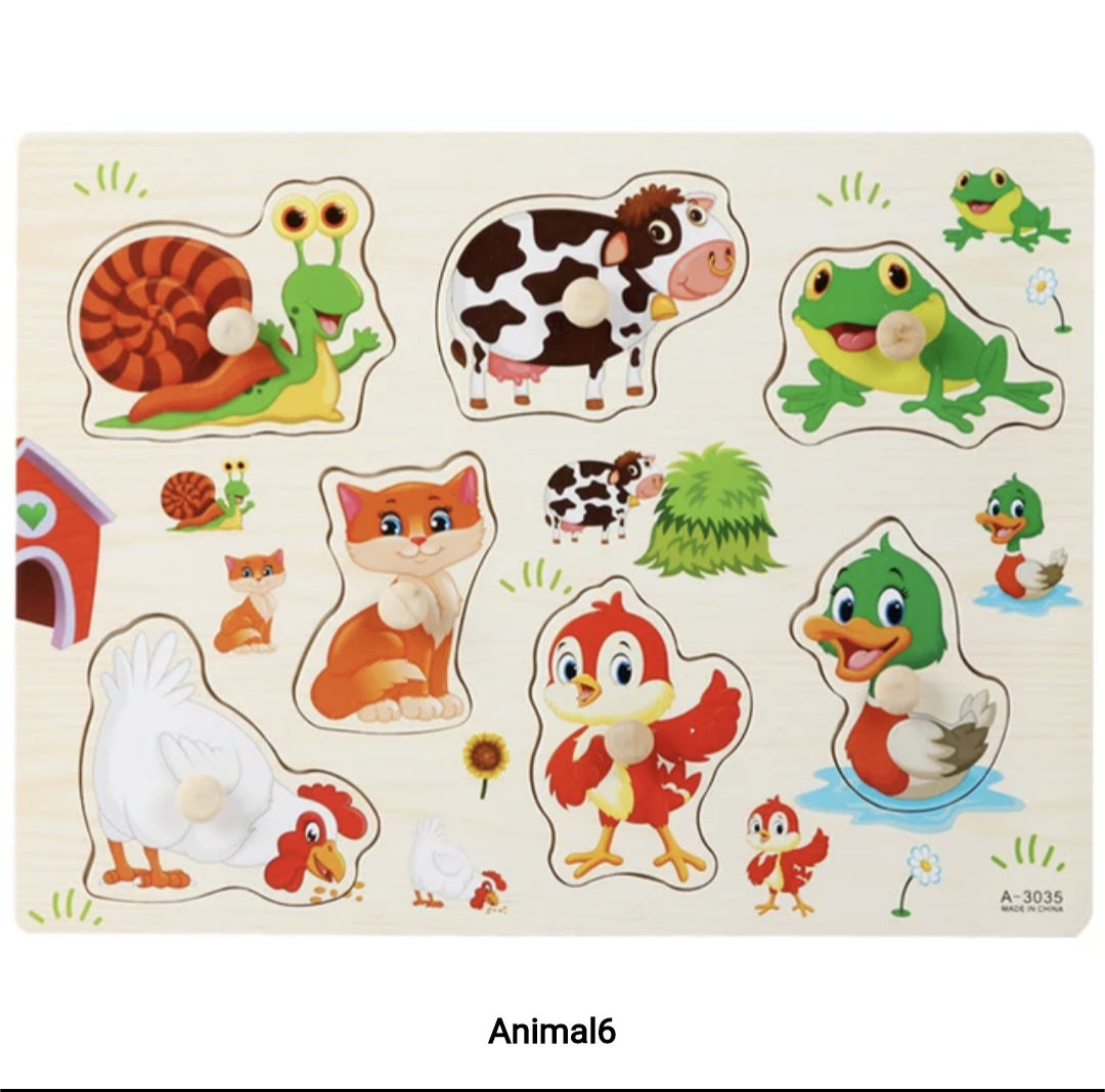 Montessori Wooden Puzzle