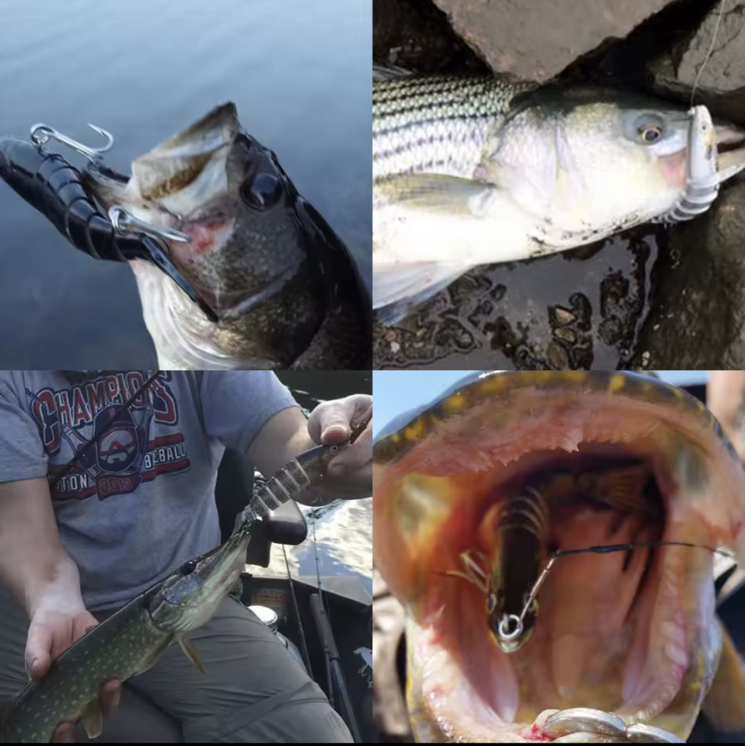VTAVTA Jointed Fishing Lures