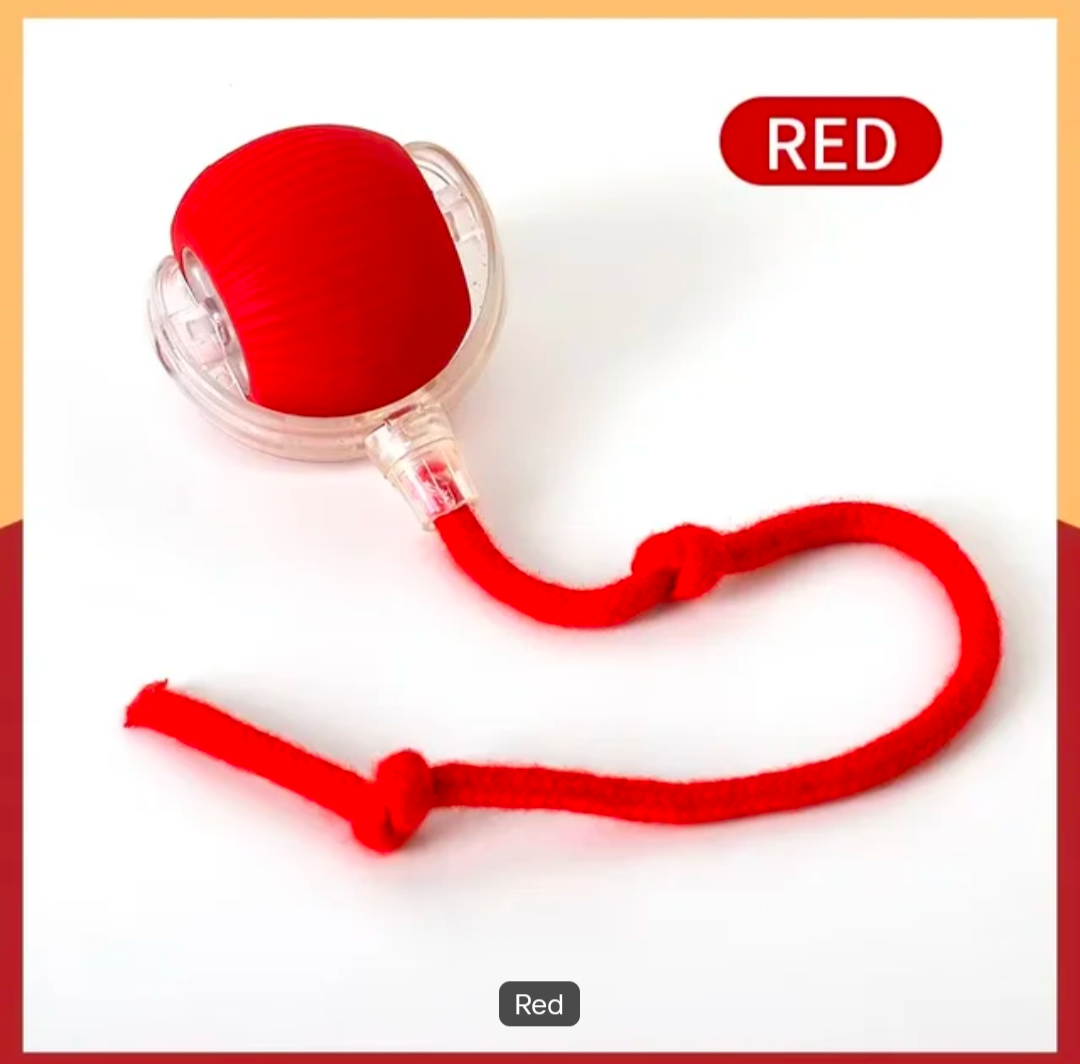 Smart pet toy 0.1