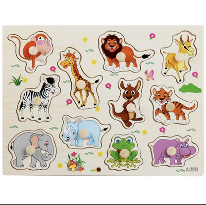 Montessori Wooden Puzzle