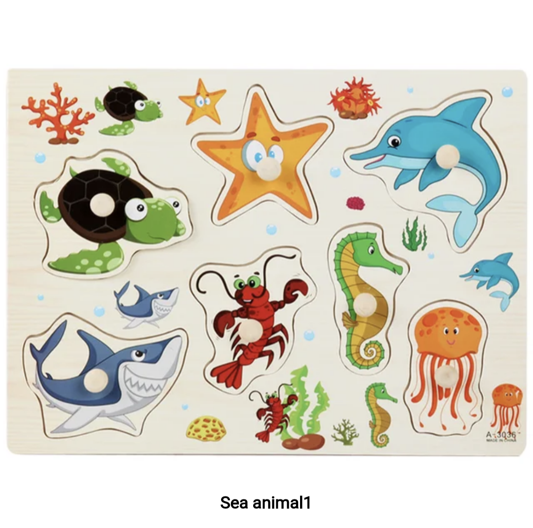 Montessori Wooden Puzzle