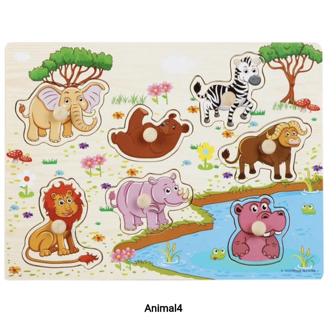 Montessori Wooden Puzzle