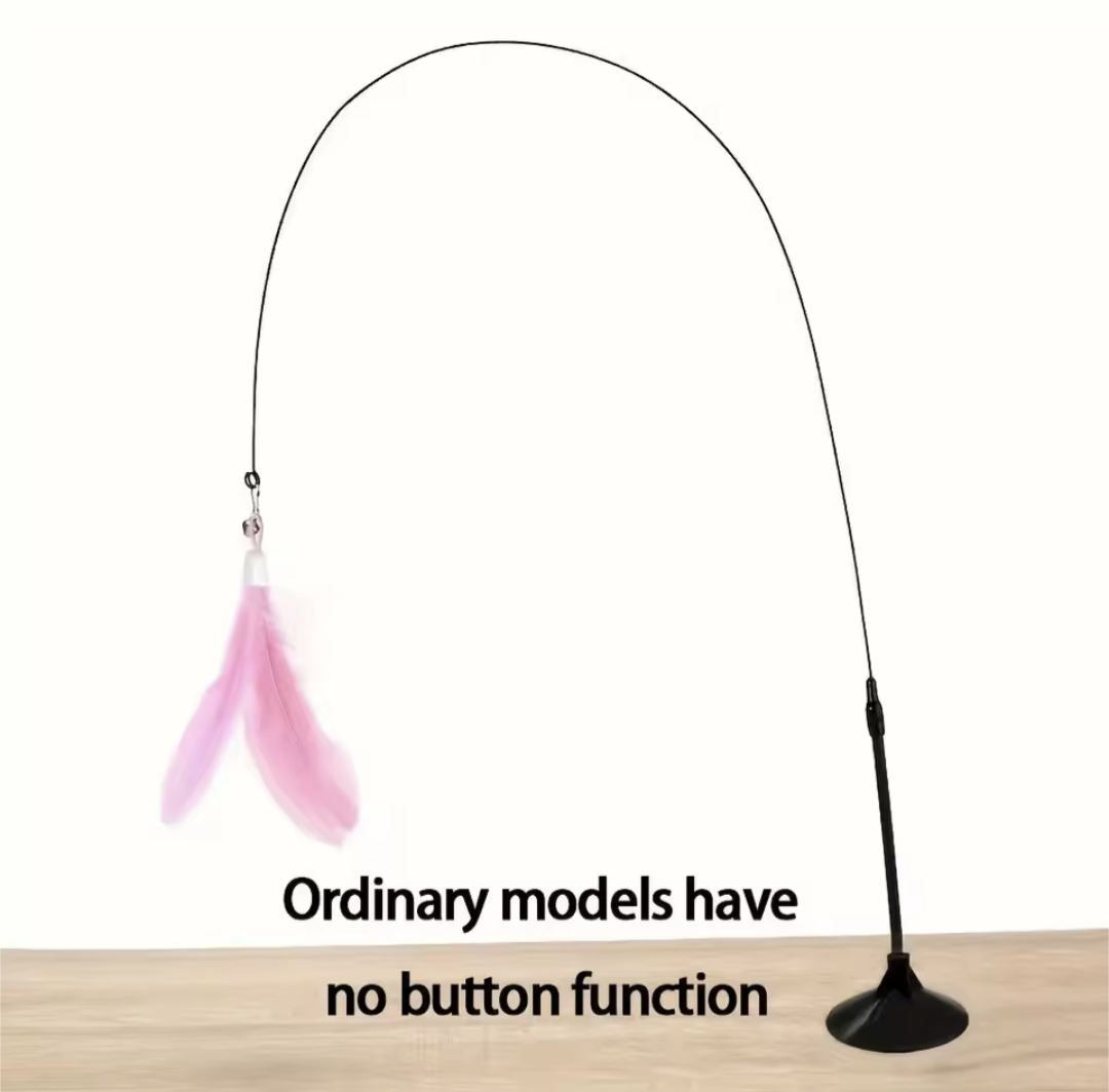 Interactive Cat Teaser Toy with Bell & Feather