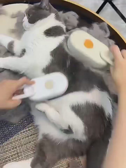 3-in-1 Steam Spray Pet Brush