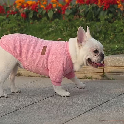 Winter Pet Jacket