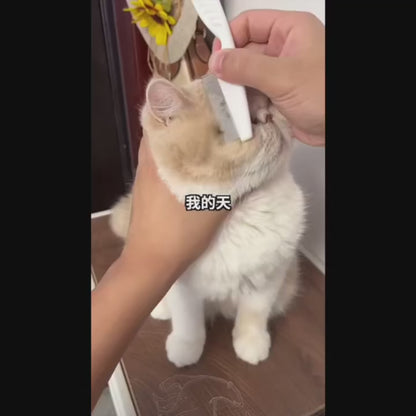 Pet Flea & Shedding Comb