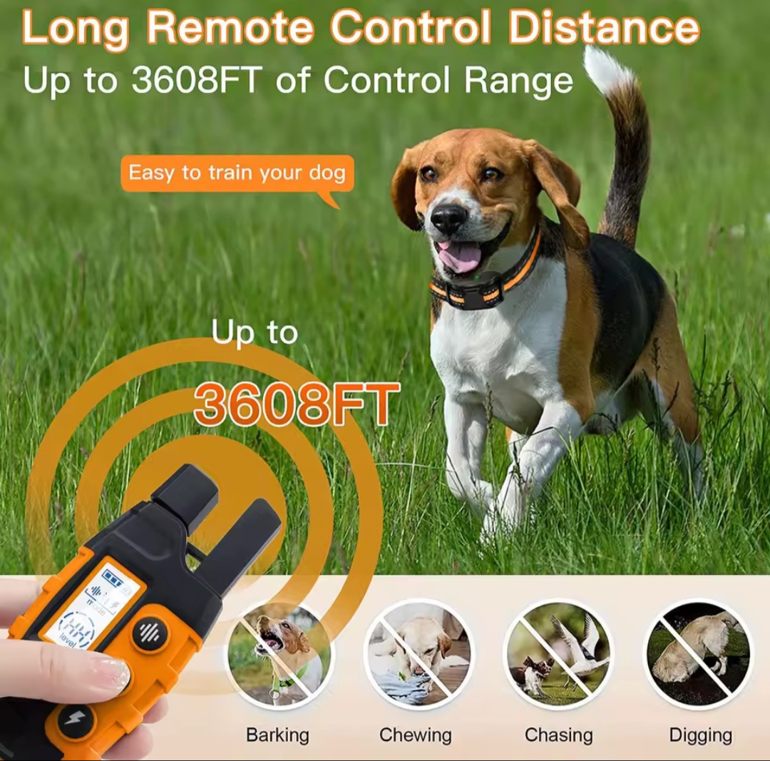 Electric Dog Training Collar