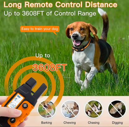 Electric Dog Training Collar