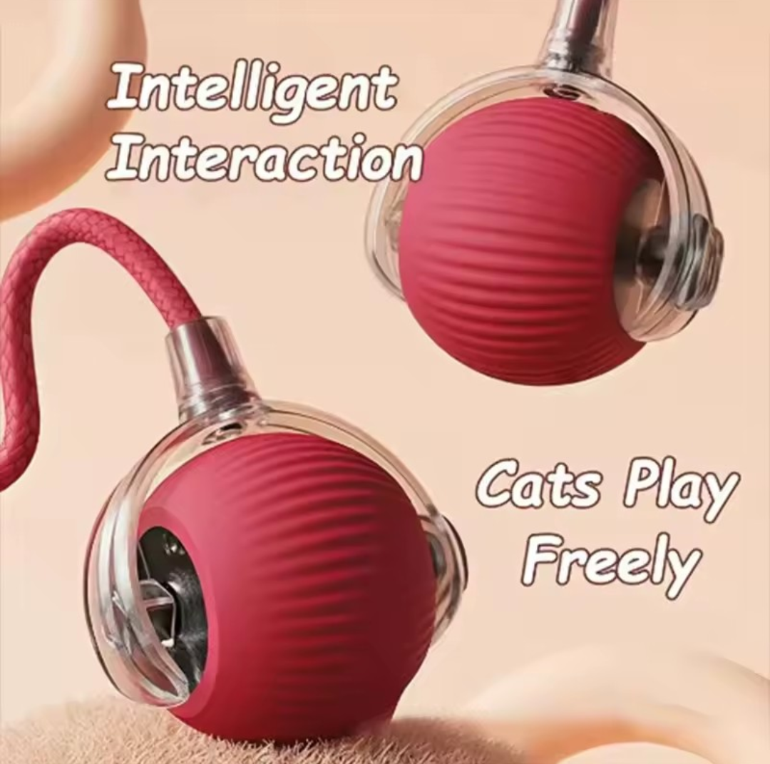 Interactive Dog & Cat Toy