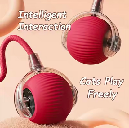 Interactive Dog & Cat Toy
