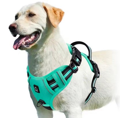 No Pull Dog Harness