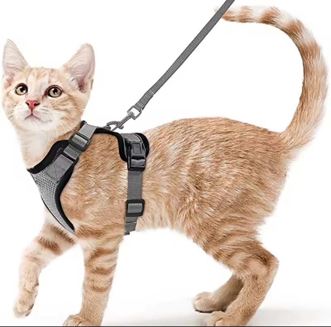 Escape Proof Cat Harness and Leash Set