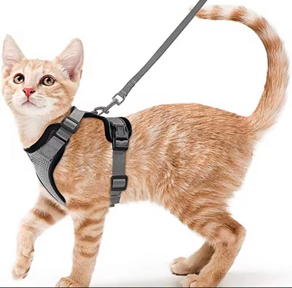 Escape Proof Cat Harness and Leash Set