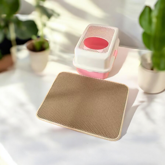 Double Layer Cat Litter Mat