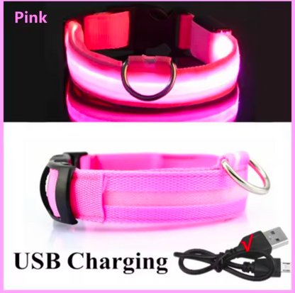 LED Light-Up Dog Collar