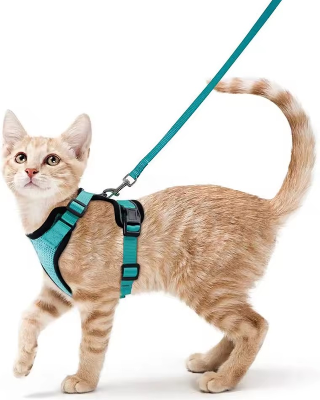 Escape Proof Cat Harness and Leash Set