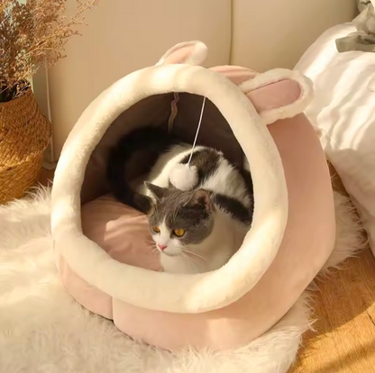 Cat Bed