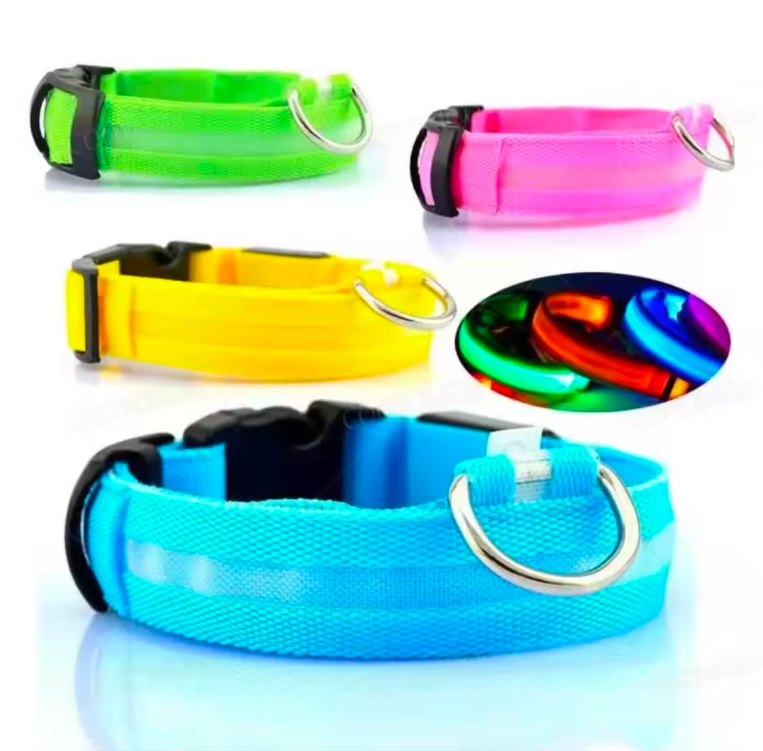 LED Light-Up Dog Collar