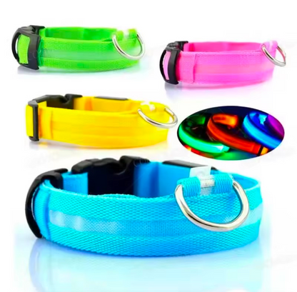 LED Light-Up Dog Collar