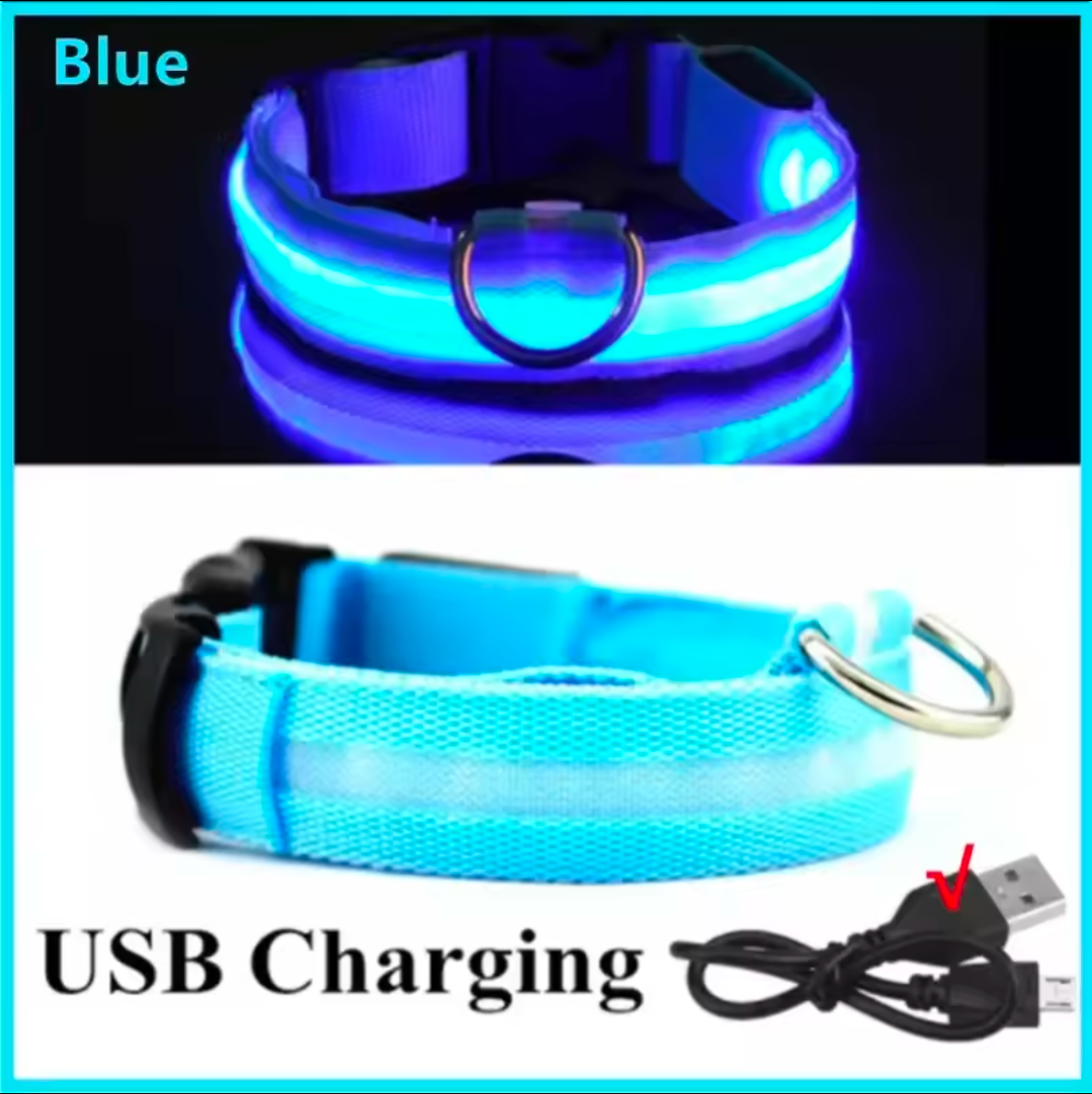 LED Light-Up Dog Collar