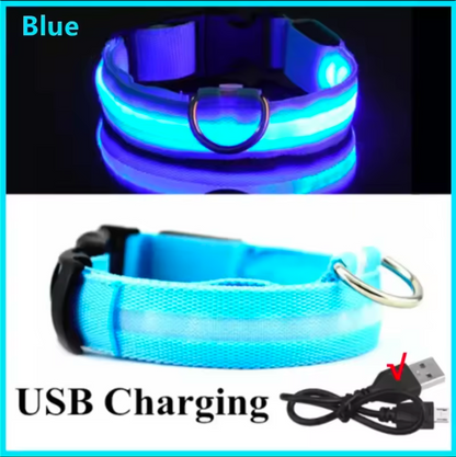 LED Light-Up Dog Collar