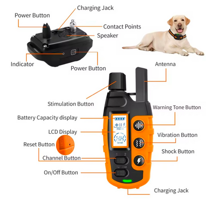 Electric Dog Training Collar