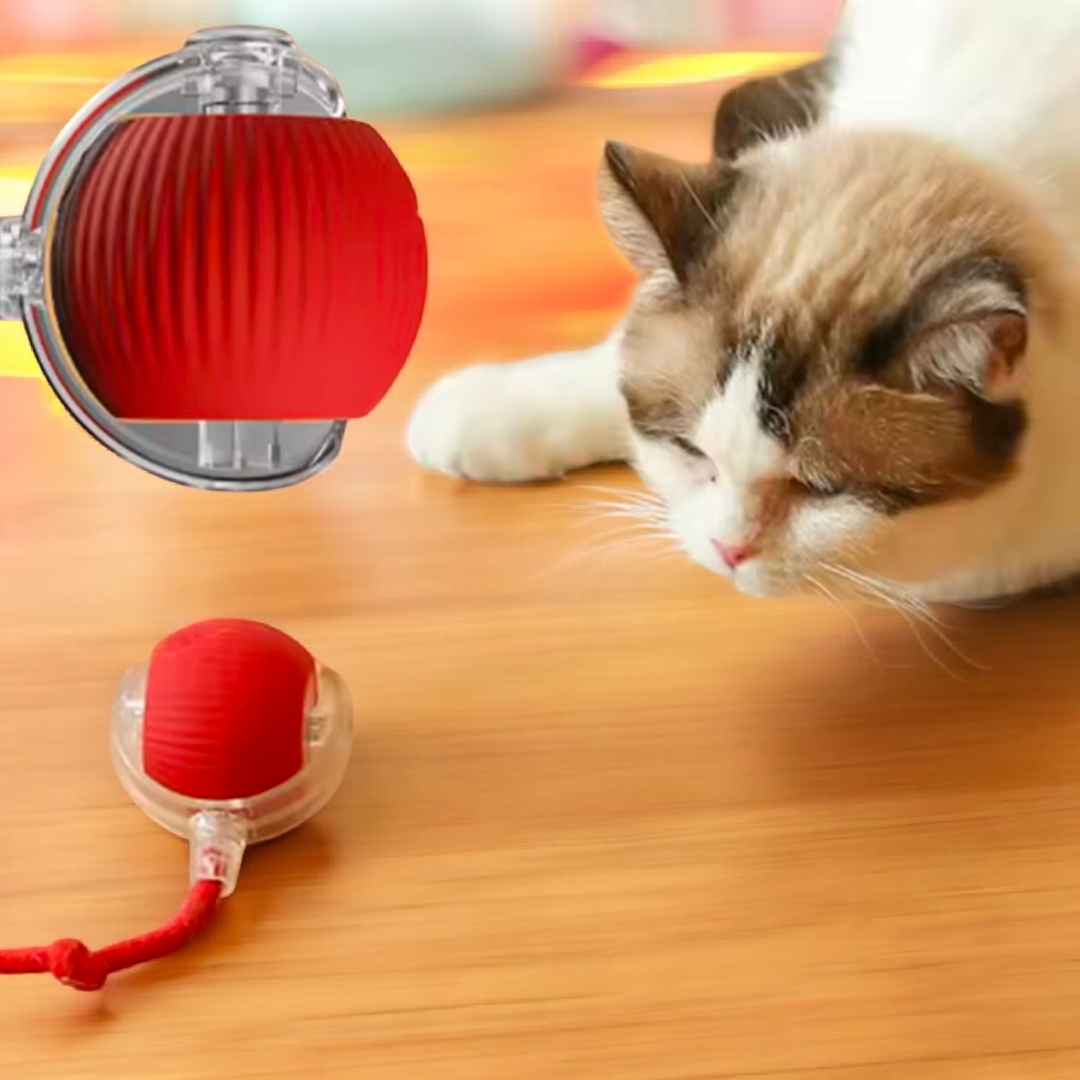 Smart Cat Toy