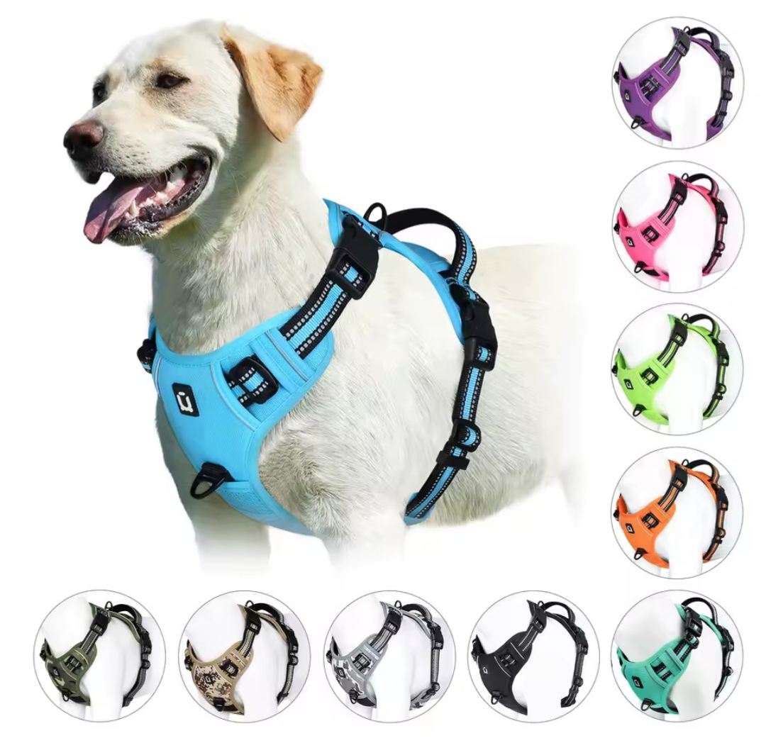 No Pull Dog Harness