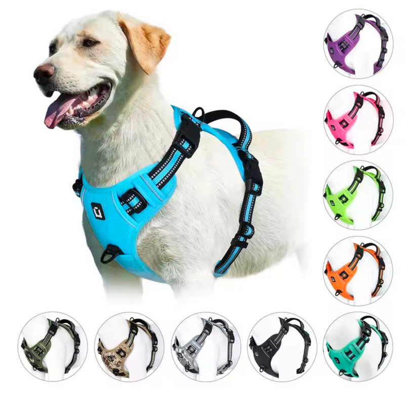 No Pull Dog Harness