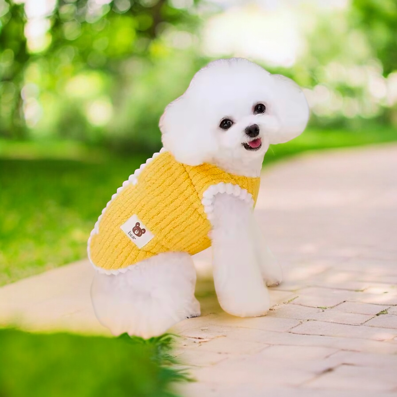 Dog Coat