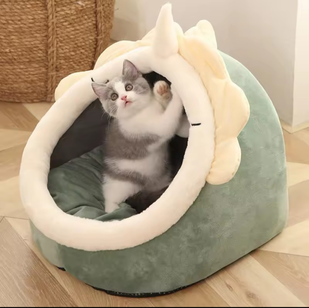 Cat Bed