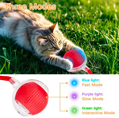 Smart Interactive Pet Rolling Ball