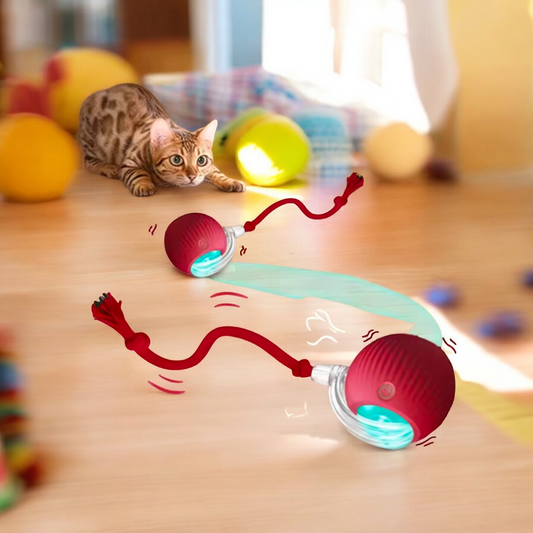 Smart Cat Toy