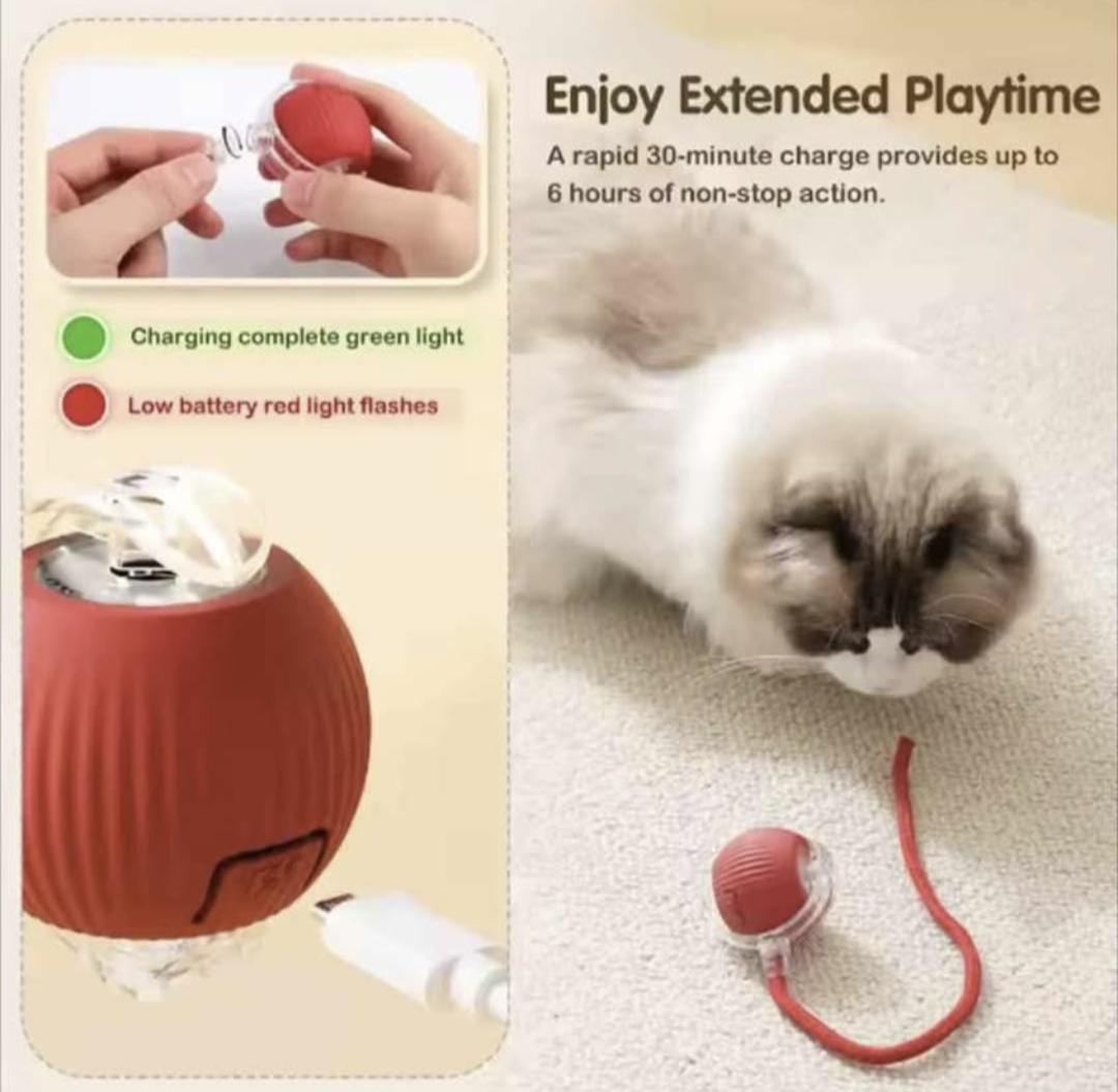 Smart pet toy 0.1