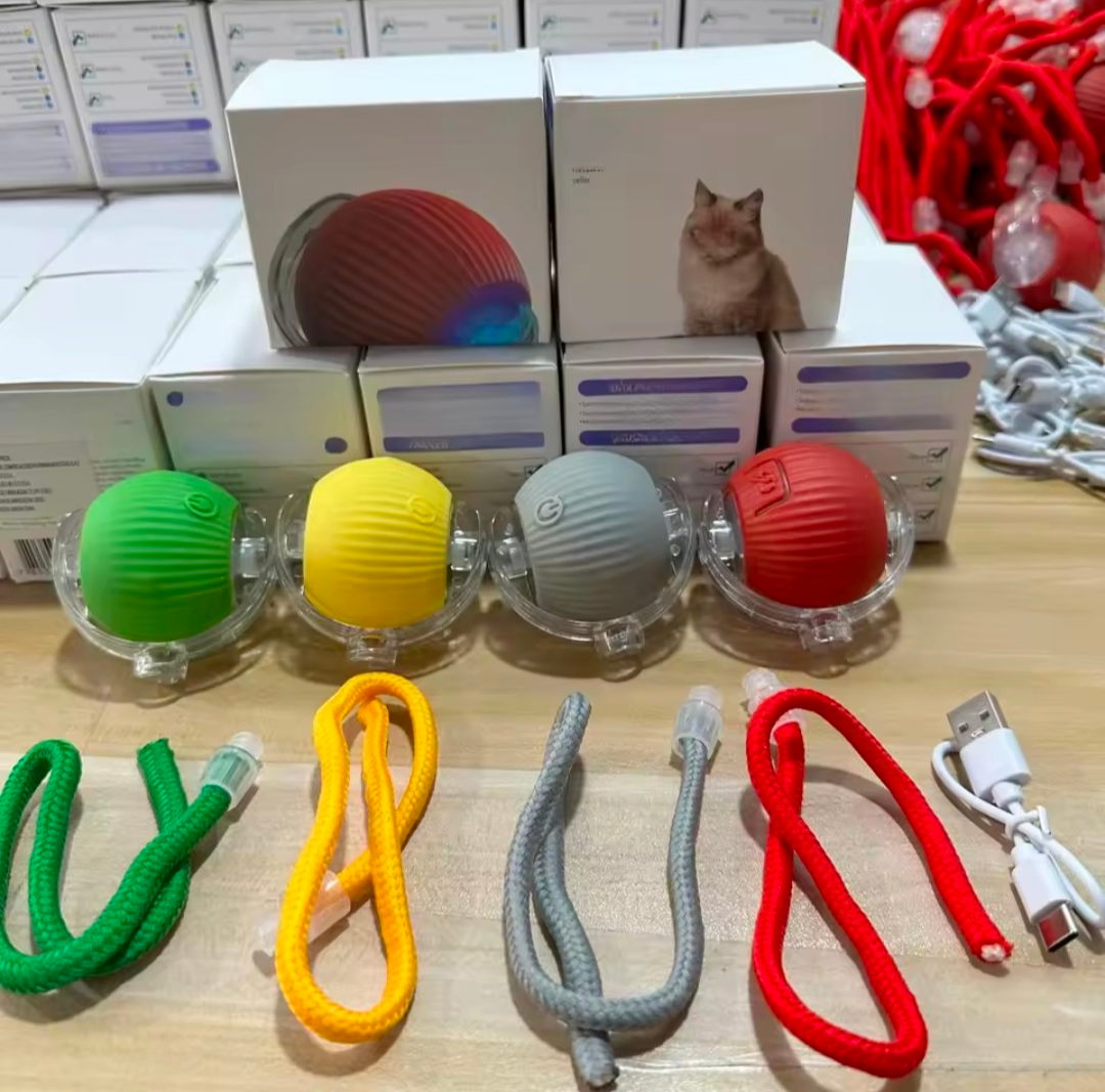 Interactive Dog & Cat Toy