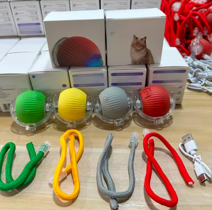 Interactive Dog & Cat Toy