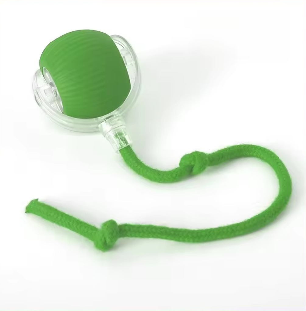 Interactive Dog & Cat Toy
