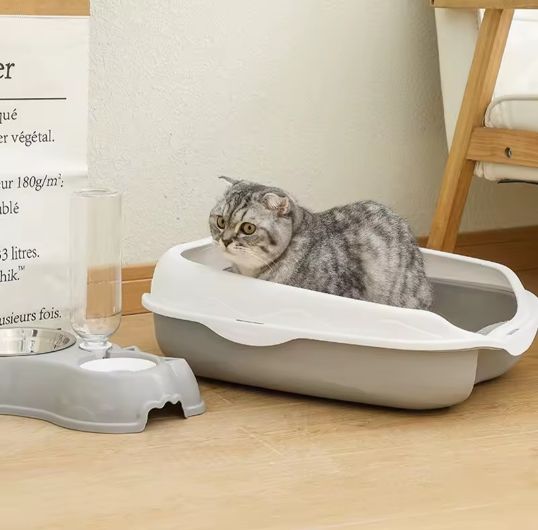 Cat Litter Box