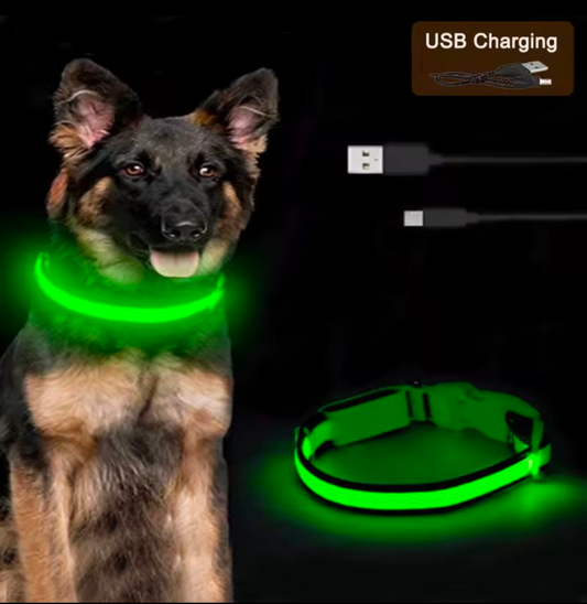 LED Light-Up Dog Collar