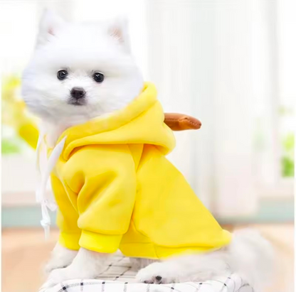 Cute Fruit Dog Hoodie