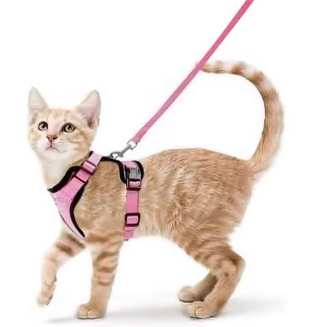 Escape Proof Cat Harness and Leash Set