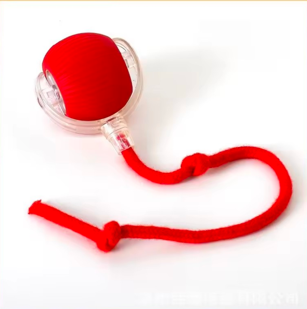 Interactive Dog & Cat Toy