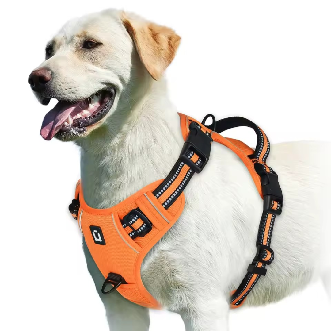 No Pull Dog Harness