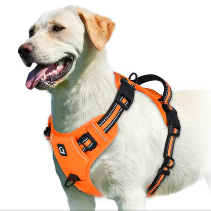 No Pull Dog Harness