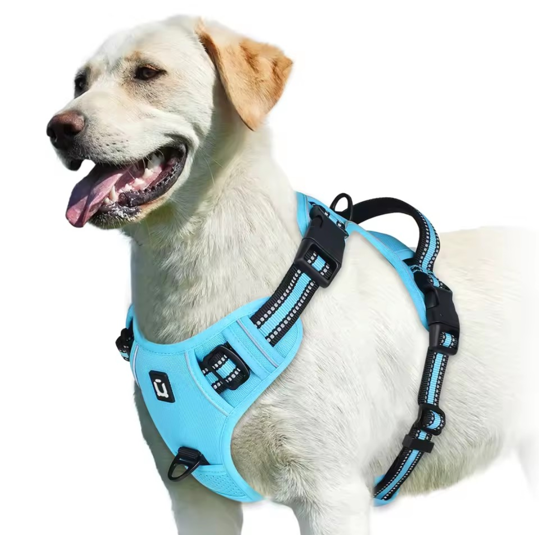 No Pull Dog Harness