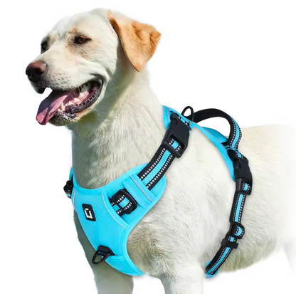 No Pull Dog Harness
