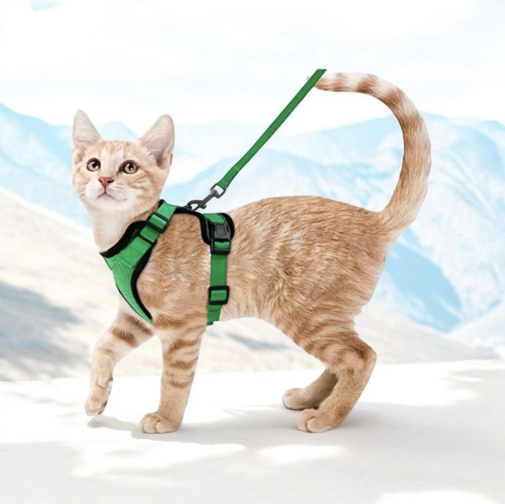 Escape Proof Cat Harness and Leash Set